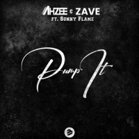 Purchase Ahzee & Zave - Pump It (CDS)