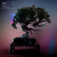 Purchase Haelos - Any Random Kindness