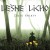 Buy Lesne Licho - Zolte Kwiaty Mp3 Download