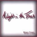 Buy Brian Crain - A Light In The Trees Mp3 Download