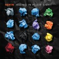 Buy Herin - Hiding In Plain Sight Mp3 Download