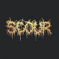 Purchase Scour - Gold