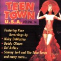 Buy VA - Teen Town U.S.A. Vol. 14 Mp3 Download