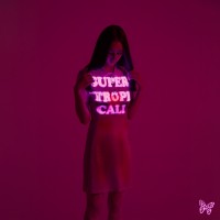 Purchase Fleurie - Supertropicali