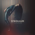 Buy Stridulum - Paradigm Mp3 Download