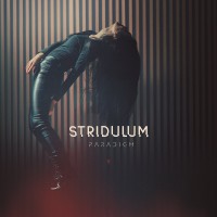 Purchase Stridulum - Paradigm