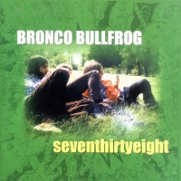 Purchase Bronco Bullfrog - Seventhirtyeight