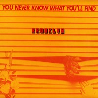 Purchase Brooklyn - You Never Know What You'll Find (Vinyl)