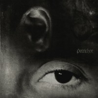 Purchase 070 Shake - Petrichor