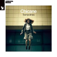 Purchase Chicane - Trampolines