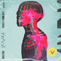 Purchase The Anix - Xray (CDS)