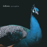 Purchase Follows - Nyctophile