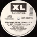 Buy Brooklyn Funk Essentials - We Got To Come Together (Vinyl) Mp3 Download