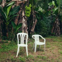 Purchase Bad Bunny - Debí Tirar Más Fotos