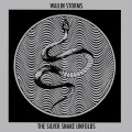 Buy Wailin Storms - The Silver Snake Unfolds Mp3 Download