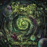 Purchase Ectoplasmorphosis - Vortex Of Possessable Flesh