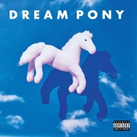 Purchase Dream Pony - Suspicion Today