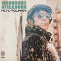 Buy Pete Molinari - Wondrous Afternoon Mp3 Download