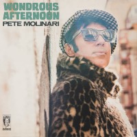 Purchase Pete Molinari - Wondrous Afternoon