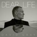 Buy David Gray - Dear Life David Gray Mp3 Download