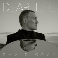 Purchase David Gray - Dear Life David Gray