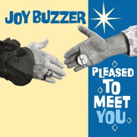 Purchase Joy Buzzer - Pleased To Meet You