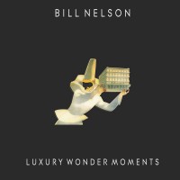 Purchase Bill Nelson - Luxury Wonder Moments