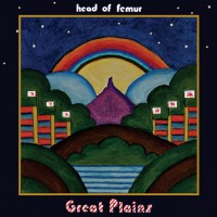 Purchase Head Of Femur - Great Plains