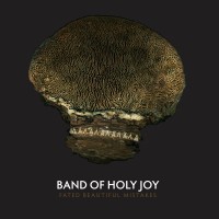 Purchase Band Of Holy Joy - Fated Beautiful Mistakes