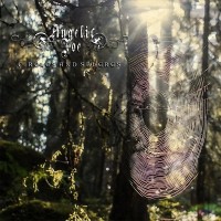 Purchase Angelic Foe - Circles And Spheres