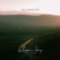 Buy The Ambientalist - A Longer Story Mp3 Download