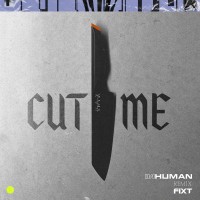 Purchase The Anix - Cut Me (Inhuman Remix) (CDS)