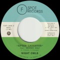 Buy Night Owls - After Laughter / Didn't I (CDS) Mp3 Download