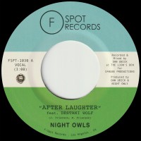 Purchase Night Owls - After Laughter / Didn't I (CDS)