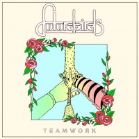 Purchase Futurebirds - Teamwork