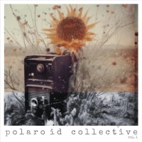 Purchase Polaroid Collective - Polaroid Collective Vol. 1