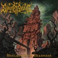 Buy Shrine Of Skulls - Megalith Of Madness Mp3 Download