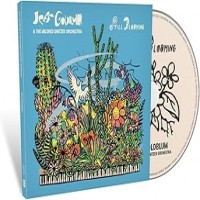 Purchase Jeff Goldblum & The Mildred Snitzer Orchestra - Still Blooming