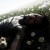 Buy D4Vd - Withered Mp3 Download