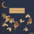 Buy Evgeny Grinko - Winter Moonlight Mp3 Download