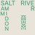 Buy Sam Amidon - Salt River Mp3 Download