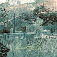 Purchase Rigorous Institution - Cainsmarsh