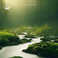 Purchase Unusual Cosmic Process - Episodes