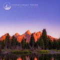 Buy Unusual Cosmic Process - Philosophy Of Tenderness (EP) Mp3 Download