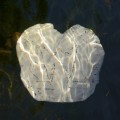 Buy N Nao - L'eau Et Les Rêves Mp3 Download