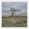 Buy Regnfang - Alting Har En Tid Mp3 Download
