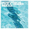 Buy Pegasus - How Much Can A Heart Break (CDS) Mp3 Download