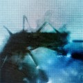 Buy Thornhill - Bodies Mp3 Download