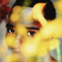 Purchase Durand Bernarr - Bloom