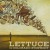 Buy Lettuce - Lettuce With The Colorado Symphony Mp3 Download